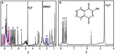 A Supramolecular Interaction of a Ruthenium Complex With Calf-Thymus DNA: A Ligand Binding Approach by NMR Spectroscopy